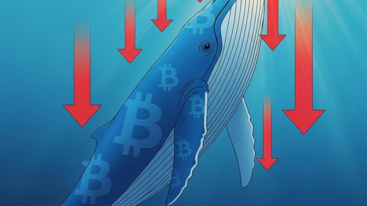 ETH 고래 매수, 하락 방어될까?